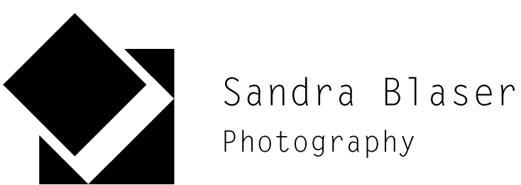 Logo Fotograf Bern
